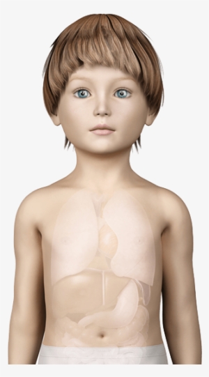 See How It Affects A Child - Internal Organs Boy