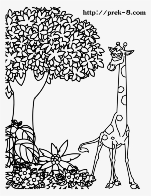 Free Coloring Pages Of Jungle Trees - Jungle Animals Drawing Kids