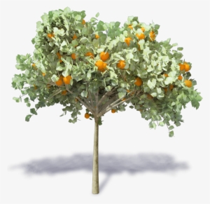 Orange Tree Revit
