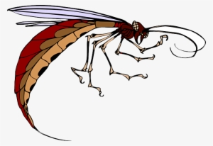 Cartoon, Body, Wings, Long, Insect, Legs, Antennae - Insectos Con Alas Y Antenas