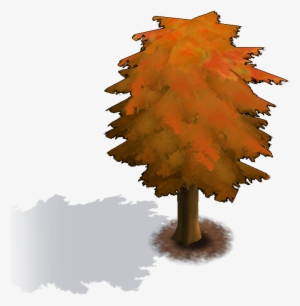 Red Tree - White Pine