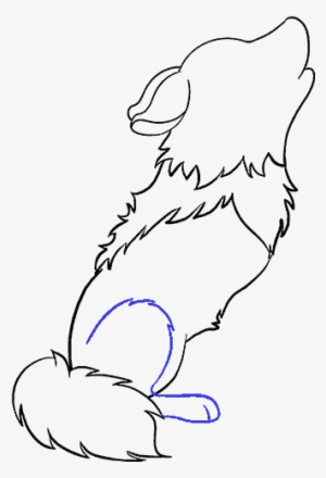 How To Draw Cartoon Wolf - Wolf