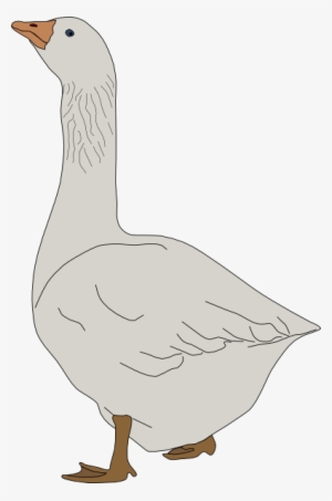 Small - Goose Clipart