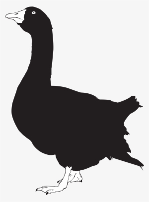 File Silhouette Wikimedia Commons Open - Goose Silhouette Shower Curtain