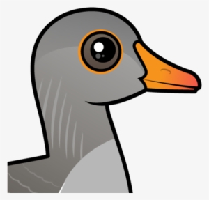 About The Greylag Goose - Greylag Goose Cartoon