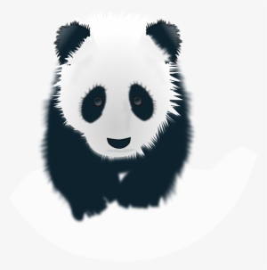 Panda Head Drawing At Getdrawings - Pandas Black And White