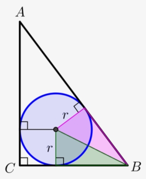 The Pink Triangle Is Congruent To The Green Triangle - Triangle