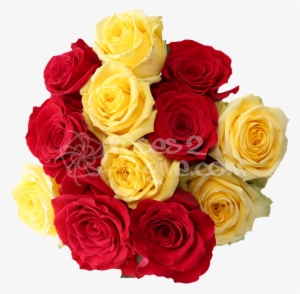 Red - Yellow Combination - Red And Yellow Rose Combination