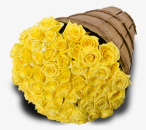 Yellow Roses - Floribunda
