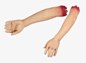 Severed Arm - Severed Arm Png