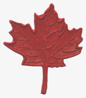 Proline Stamps Maple Leaf Accent Piece - Concrete
