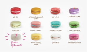 Macaroon Digital Vector Clip Art / Macaron Sweets Digital - French Pastry Macaron