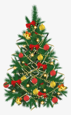 Xmas Trees - Christmas Tree Images Png