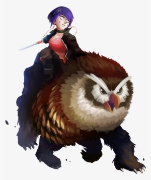 Requests - - Accipitriformes
