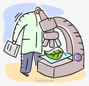 20180725a - Botany Clipart
