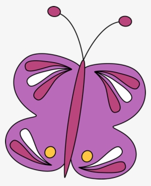 Purple Butterfly - Butterfly
