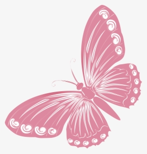 Pink Butterfly Png - Mariposas En Color Coral