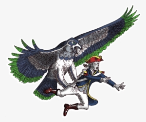 Deflate The Pats - Seahawks Bird Art