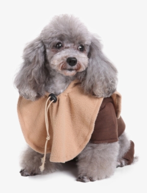 Star Wars Ewok Dog Costume Sc 1 St Pet Threads - Costume