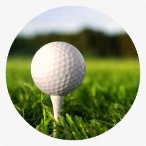 Golf Ball On Tee Png Png Free Download - Practice Manual The Ultimate Guide For Golfers