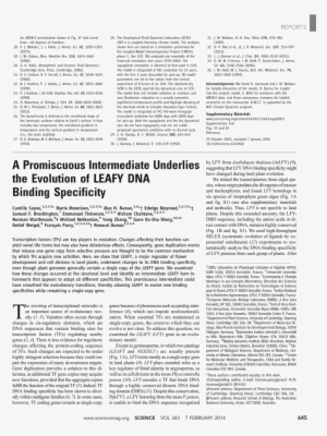 Chudai Transparent PNG - 765x974 - Free Download on NicePNG