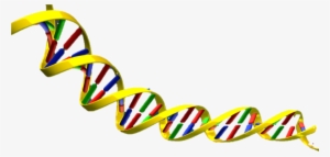 Dna Helix - Clipart Library - Dna Clipart Transparent Background