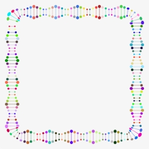 Nucleic Acid Double Helix The Double Helix - Double Helix Dna Border