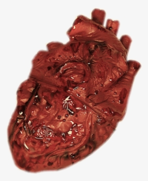 By Shadowedxlegacy On Deviantart - Real Human Heart Png