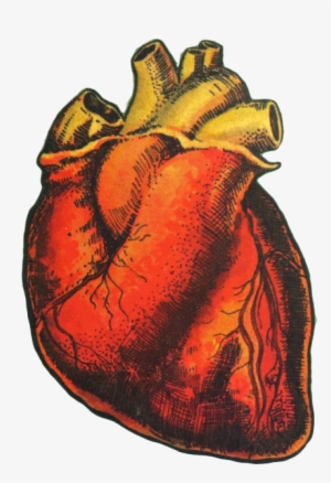 Human Heart Drawing - El Corazon Loteria Card