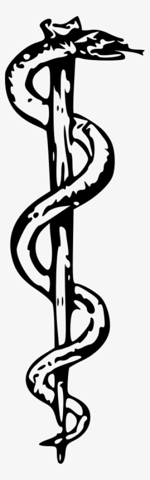 What A Difference A Snake Makes - Rod Of Asclepius