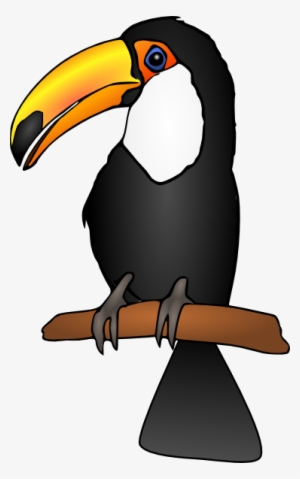 Graphic Library Stock Clip Art At Clker Com Vector - Toucan Clipart
