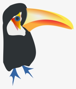 Bird Toco Toucan Parrot Piciformes - Toucan Bird Shower Curtain