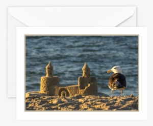 Look, If A Seagull Can Build A Sandcastle, You Can - Gulls