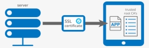 By Default, Ssl Implementations Used In Apps Trust - Ssl Certificate
