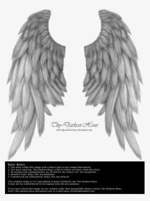 Wings Pngs By Thy Darkest Hour On Clipart Library - Gray Wings