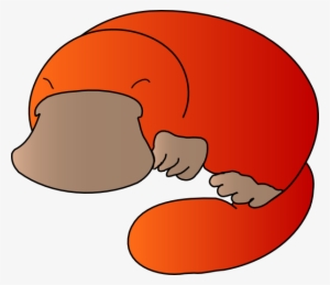 Orange Platypus