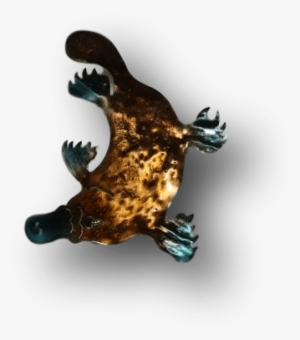 Copper Art Brooch ~ Platypus - Art