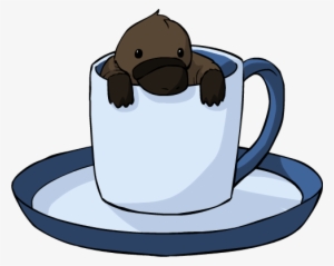 Teacup Platypus - Platypus