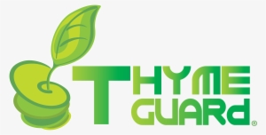 Thyme Guard - Graphic Design