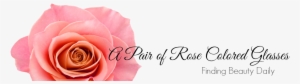 Elegante Hübsche Blume Der Vintagen Rosa Rose Postkarte