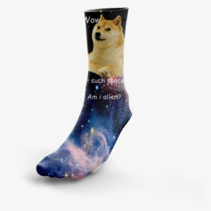 Image Of Doge In Space - Copenhagen Doges