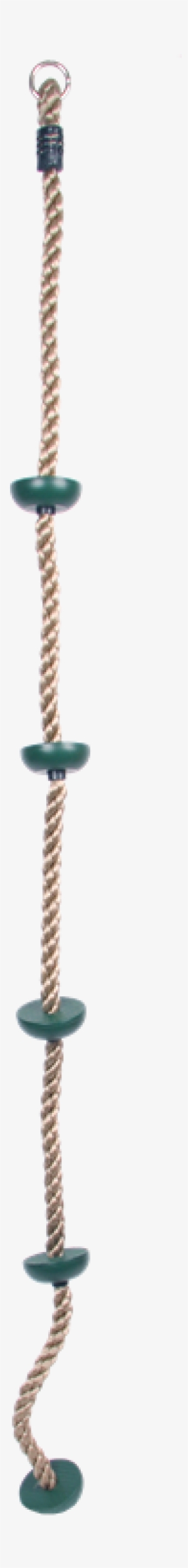 Bead