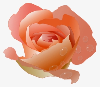 Modern Floral Clipart - Coral Rose Clip Art