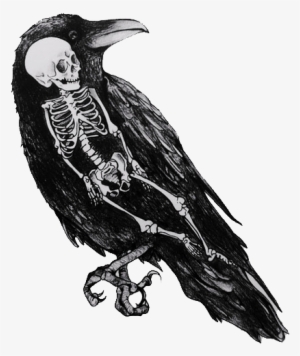 The Crow Wondered How The Human Would Taste - Bird Skeleton Drawing