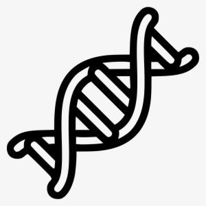 Dna Helix Png - Dna Png