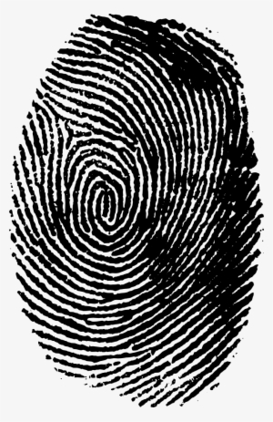 Fingerprint Transparent Png Clip - Fingerprint