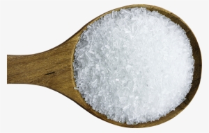 Global Impact - Spoon Of Salt Png