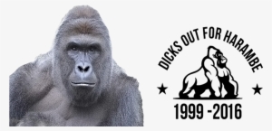 [filter] Dicks Out For Harambe - Custom Snapchat Filters Png