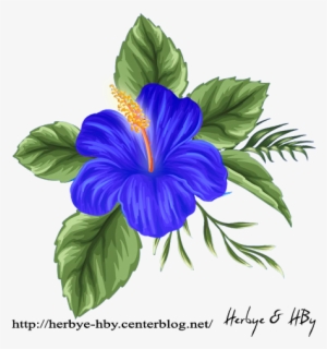 Flowers Png Hibiscus Série - Painting