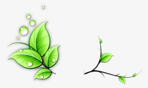 Vines Transparent Png Pictures Free Icons And Png - Green Vine Png